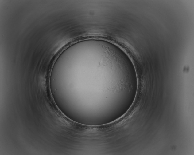 X0000096641162200802121103