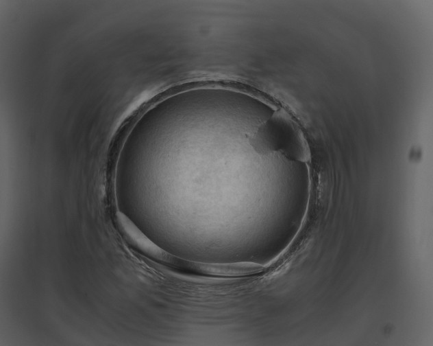 X0000096641165200802121103
