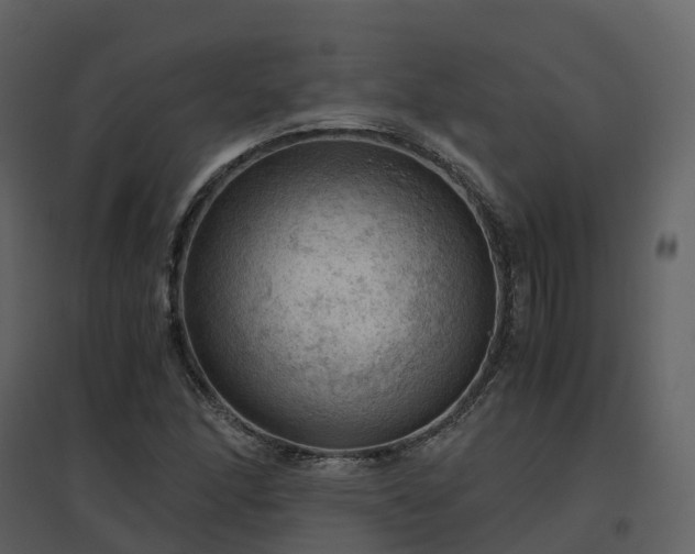 X0000096641166200802121103