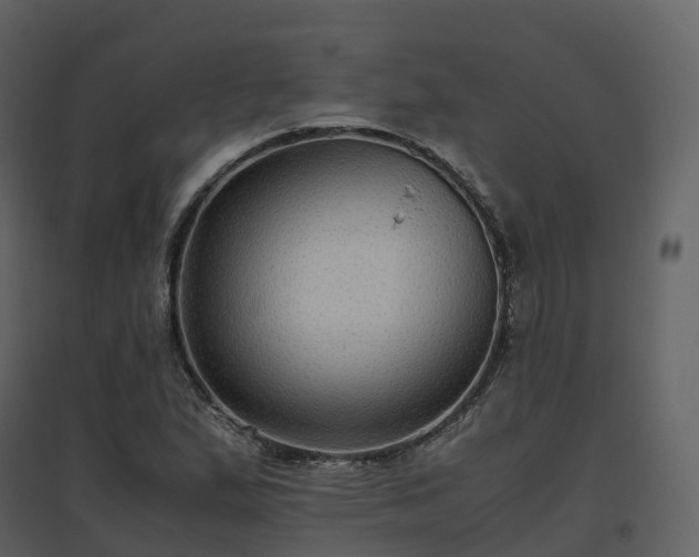 X0000096641167200802121103