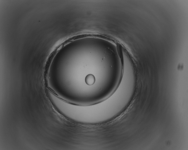 X0000096641168200802121103