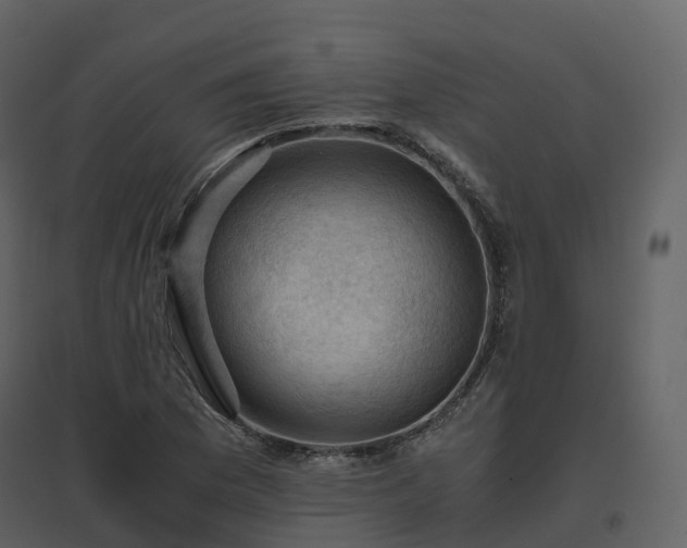 X0000096641169200802121103