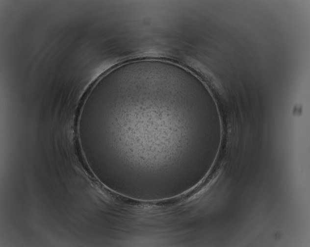 X0000096641170200802121103