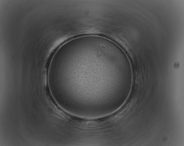 X0000096641171200802121103