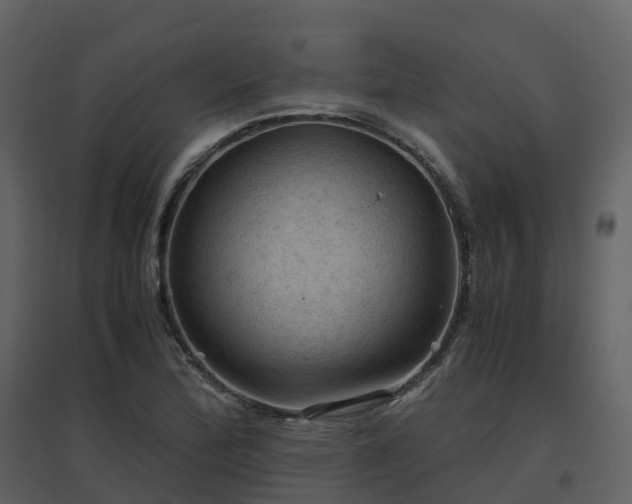X0000096641172200802121103