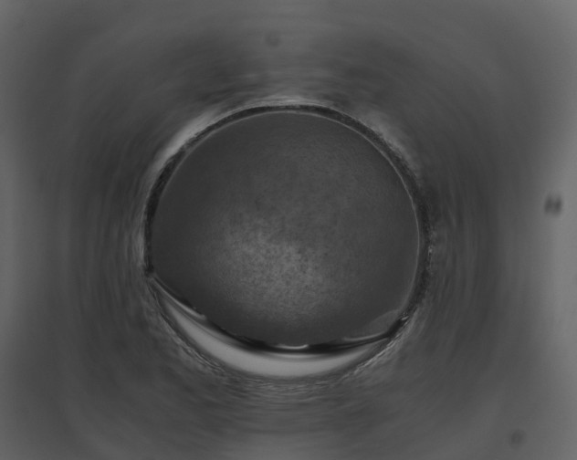 X0000096641173200802121103