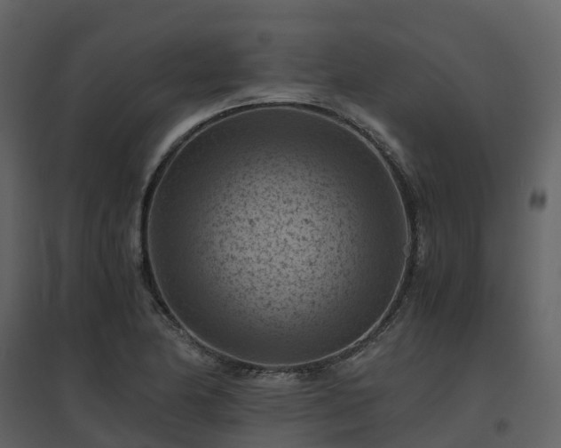 X0000096641174200802121103