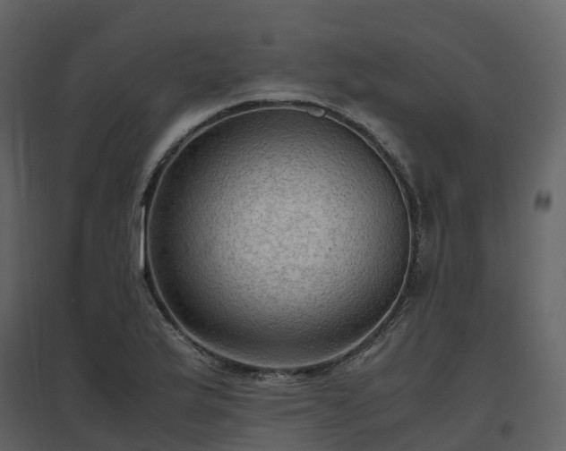 X0000096641175200802121103