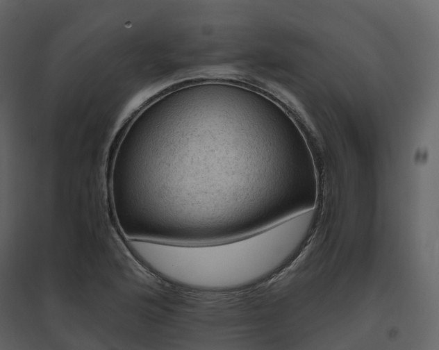 X0000096641176200802121103