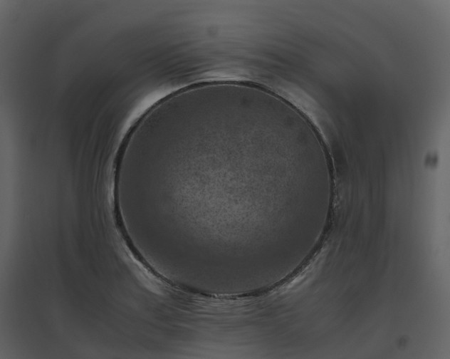 X0000096641179200802121103