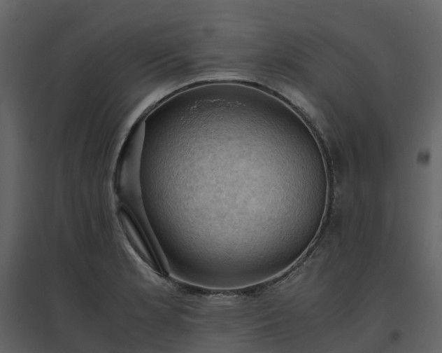 X0000096641181200802121103