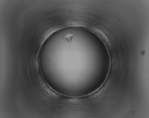 X0000096641182200802121103