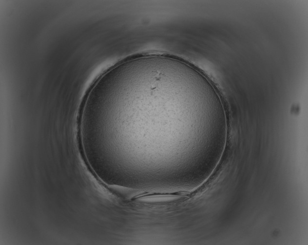 X0000096641183200802121103