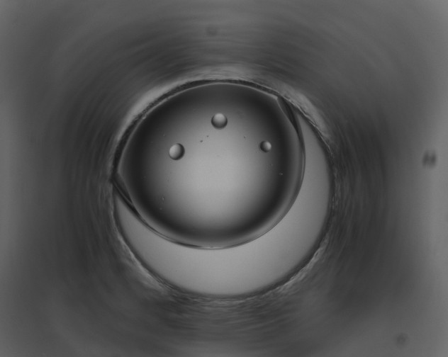 X0000096641184200802121103