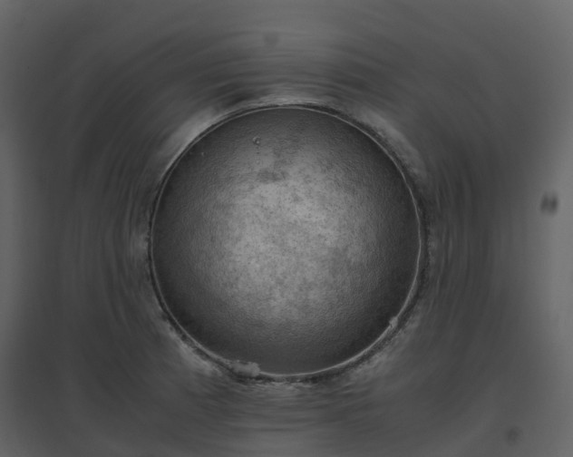 X0000096641185200802121103