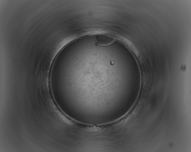 X0000096641186200802121103
