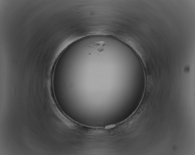 X0000096641187200802121103
