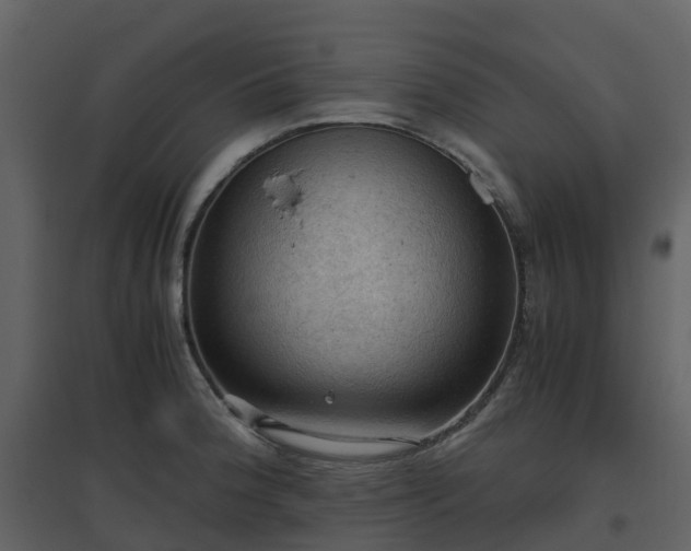 X0000096641188200802121103