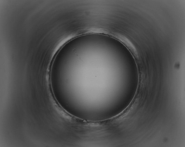 X0000096641190200802121102