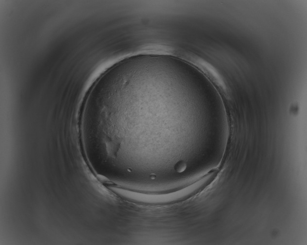 X0000096641192200802121102