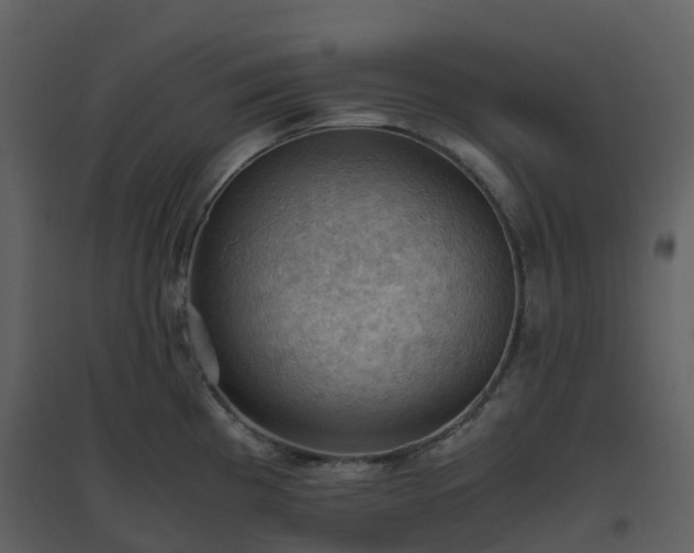 X0000096641193200802121102