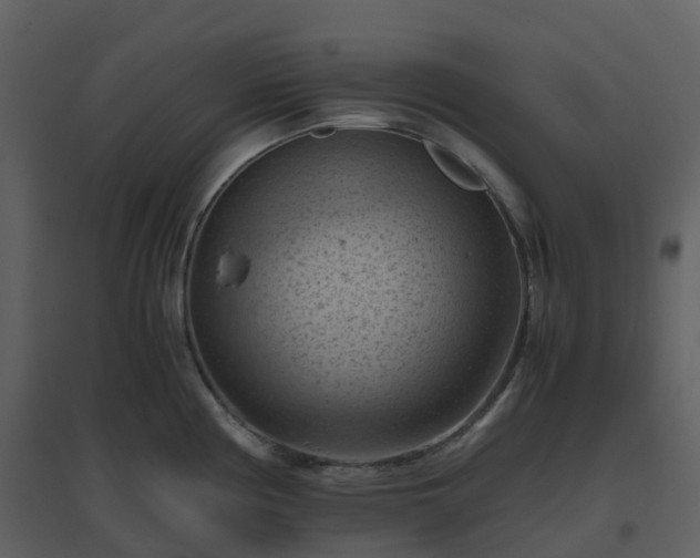 X0000096641194200802121102