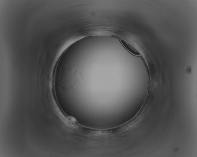 X0000096641195200802121102