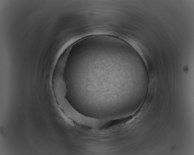 X0000096641197200802121102