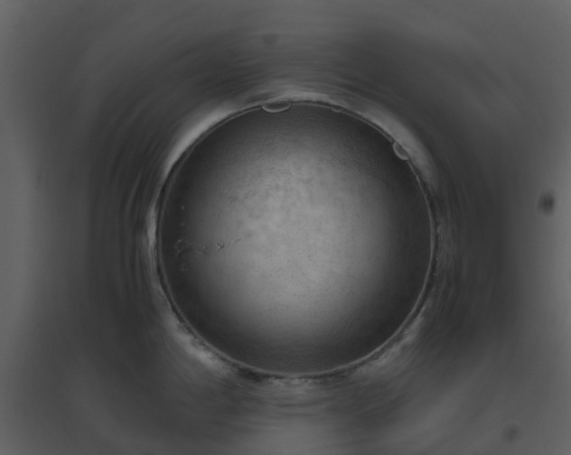 X0000096641198200802121102