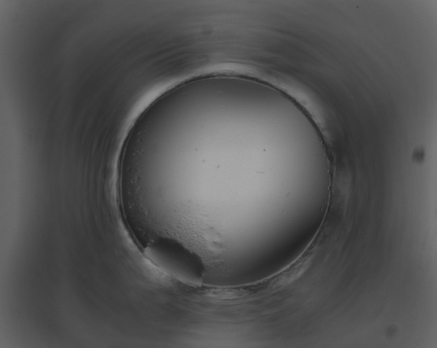 X0000096641199200802121102
