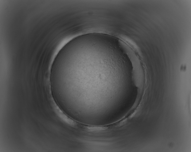 X0000096641200200802121102