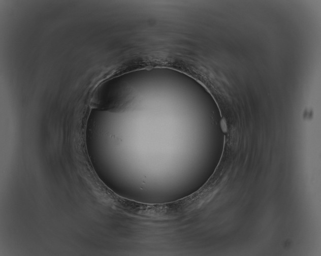 X0000096641201200802121102