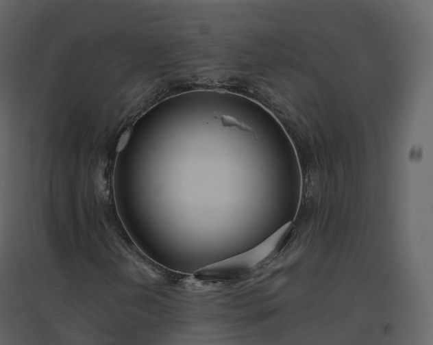 X0000096641202200802121102