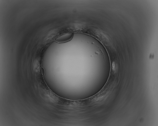X0000096641203200802121102