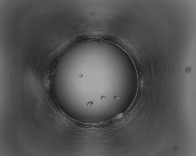 X0000096641204200802121102
