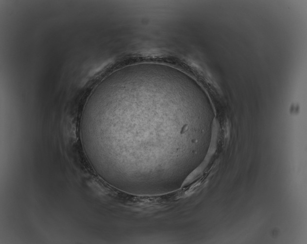X0000096641205200802121102