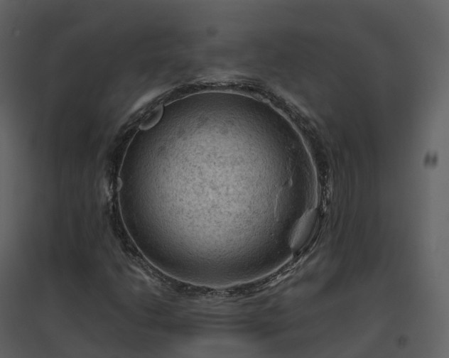 X0000096641206200802121102