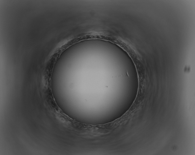 X0000096641207200802121102