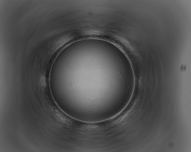 X0000096641209200802121102