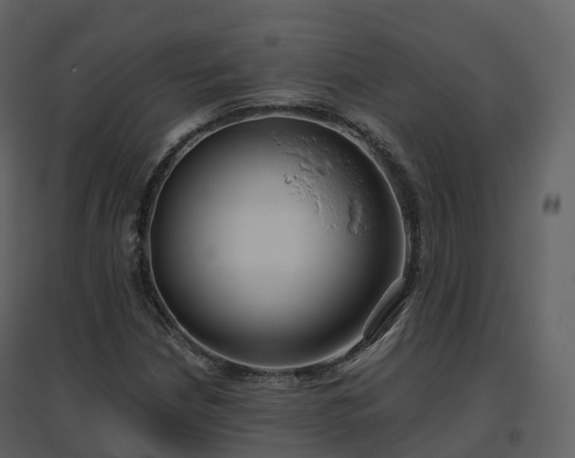 X0000096641210200802121102