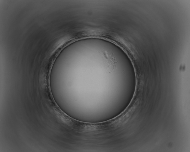 X0000096641211200802121102