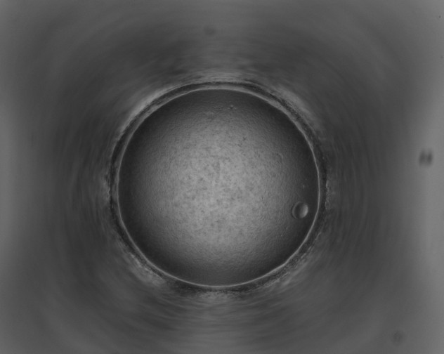 X0000096641212200802121102