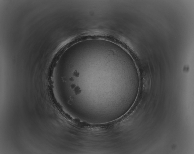 X0000096641213200802121102