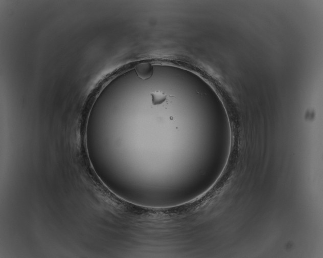 X0000096641214200802121102