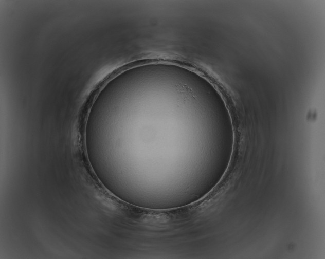 X0000096641215200802121102