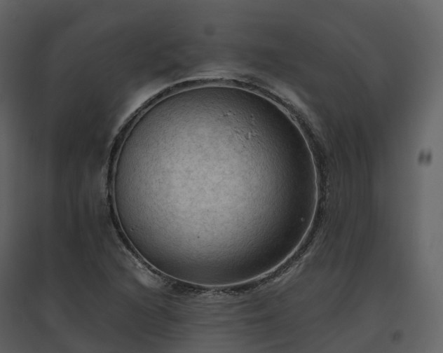 X0000096641216200802121102