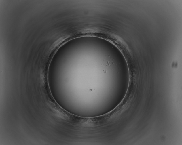 X0000096641217200802121102