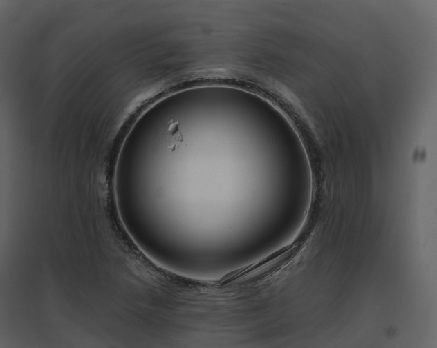X0000096641218200802121102