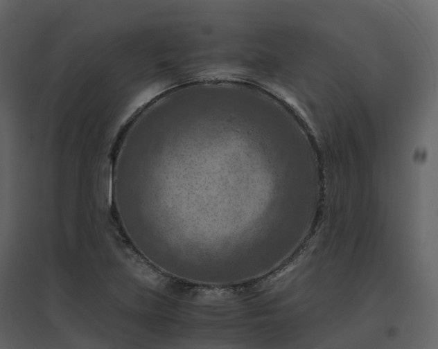 X0000096641219200802121102
