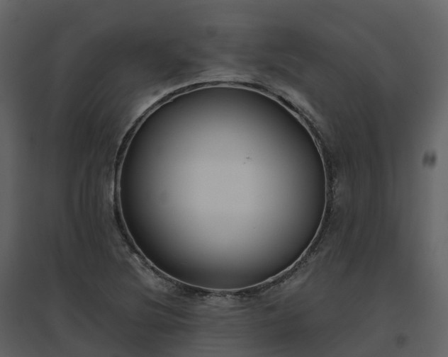 X0000096641220200802121102